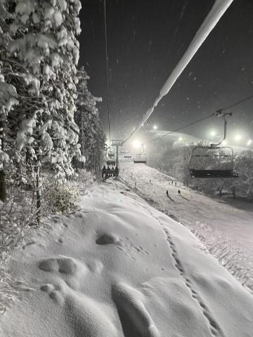 Alice - 二世谷中文滑雪教練 