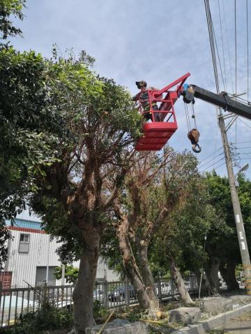 提供割草服務的專家葉之林景觀園藝