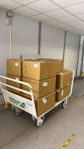 林岱樺 - 客製化機場寄件