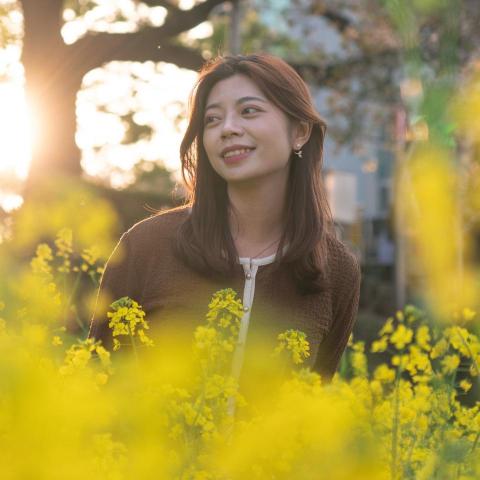 提供ui服務的專家Tingting Lin