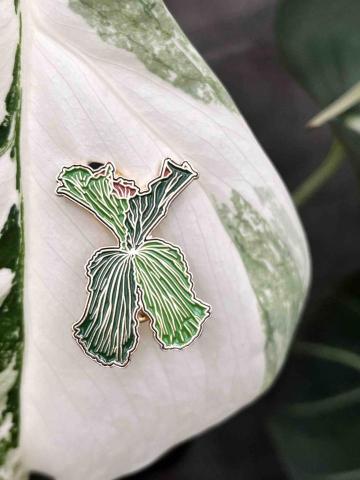 陳佩婷 - 植物徽章設計