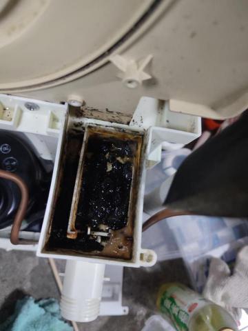 🛑🛑🛑因時間因素！目前暫停營業中,感謝顧客的熱愛與支持！🛑🛑 - 