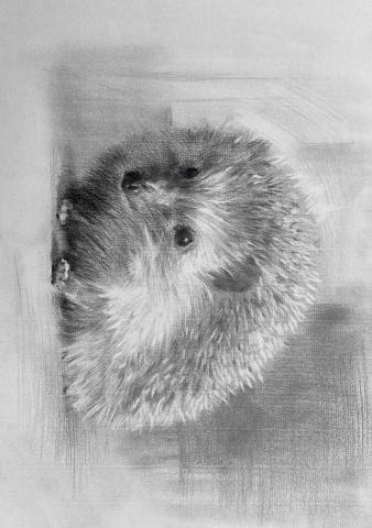 欣妤 - 素描作品