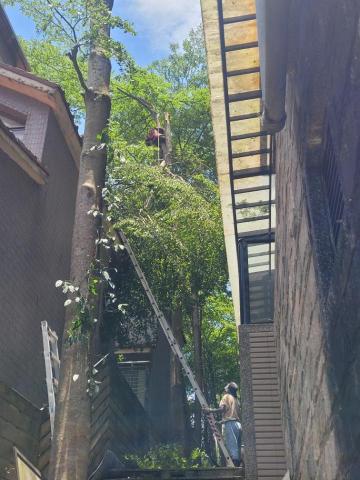 于森園藝企業社 （林先生） - 施工前