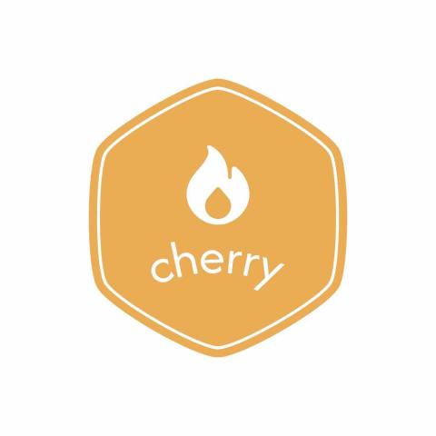 提供CSS修改服務的專家奇瑞科技工作室