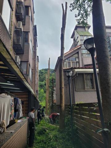 于森園藝企業社 （林先生） - 施工後