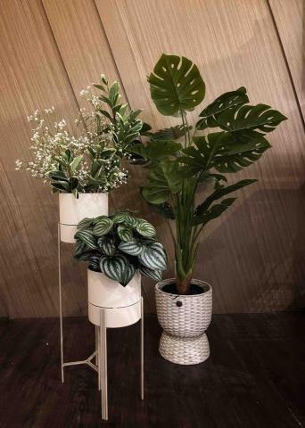 陳佩婷 - 植物花藝配置