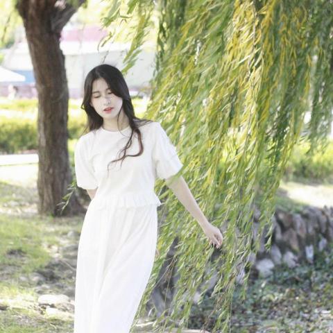 提供模特兒服務的專家Y Y