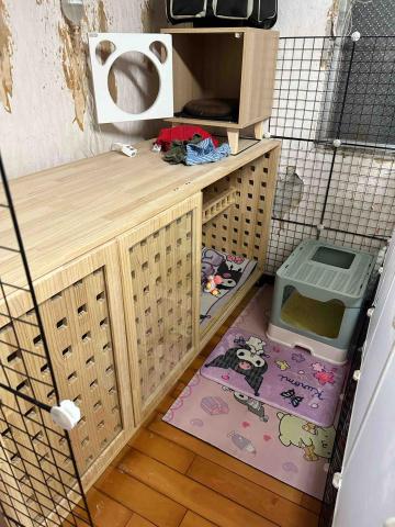 小孟♪-台南寵物保姆20年以上貓奴 - 獨立住宿空間