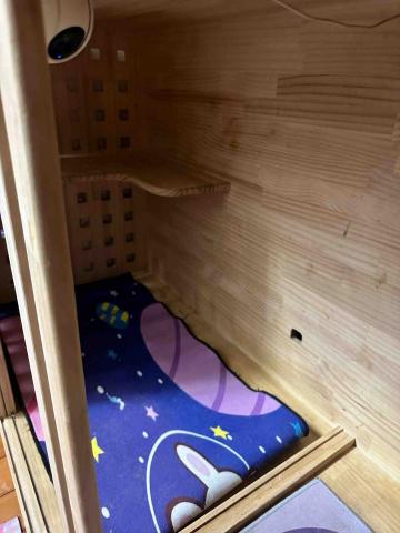 小孟♪-台南寵物保姆20年以上貓奴 - 