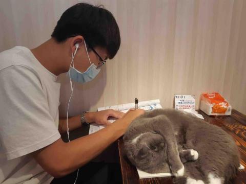 王柏崴 - 本人很喜歡貓咪！ 這是高一還高二在寫數學的我