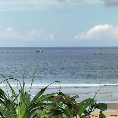 提供屏風牆服務的專家郭華恩