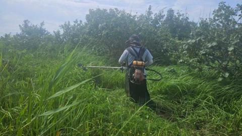提供後龍繡學號服務的專家萬鈞