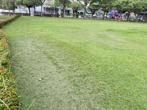 瑋羽園藝工坊 - 割草（後）