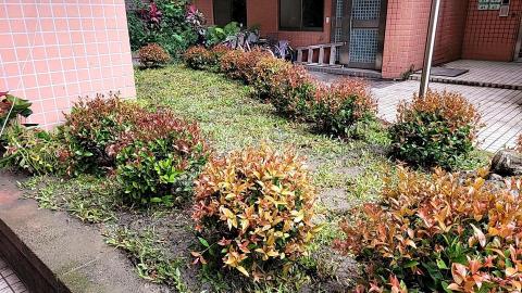 于森園藝企業社 （林先生） - 