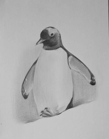 邦妮美術 -  素描課堂示範-企鵝