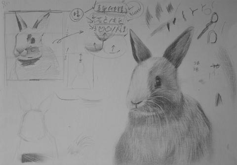 邦妮美術 - 鉛筆素描示範