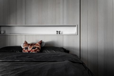 洪已棠 - 居家空間軟裝配置與全屋裝修設計