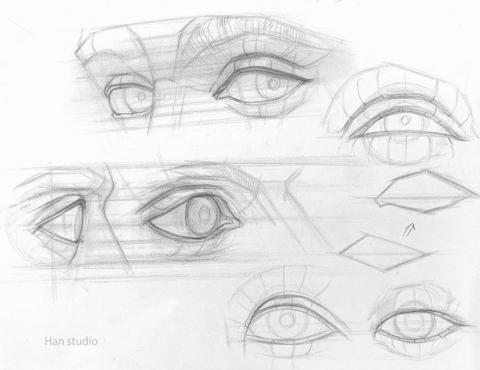 Han studio  邱柏翰 - 眼睛結構分析介紹，認識、理解結構後，更容易在畫圖過程中知道重點在哪裡
