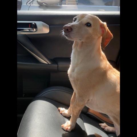 提供erp服務的專家呂馥竹