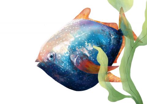 Lucy Li - 插畫設計
