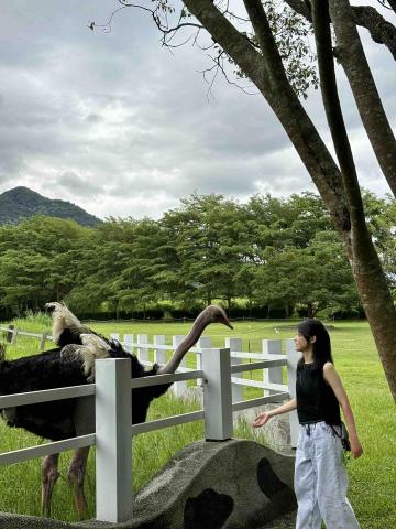 提供北投高中服務的專家蕭葦彤