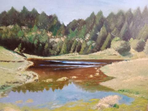 陳宥昕 - 加羅湖的風景