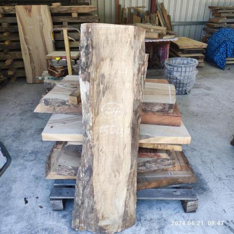 Moz & Geine deaign - 