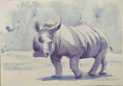 Jasmine老師 - 水彩