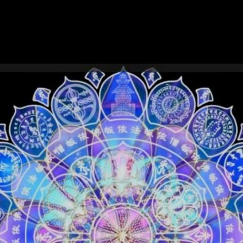 提供載貨服務的專家順安