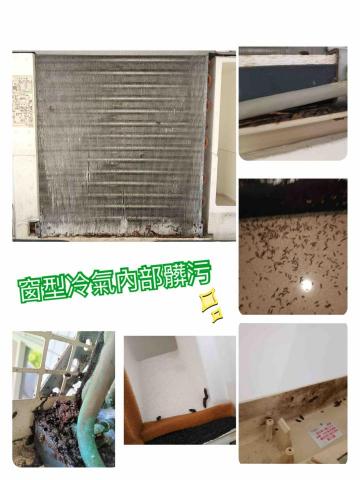 包你洗到府除塵蟎｜清洗冷氣 - 