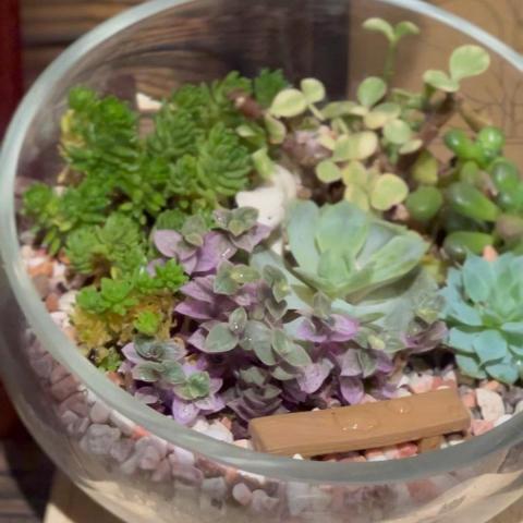 提供缸魚缸服務的專家陳姵姵