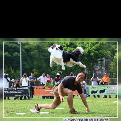 提供休息旅館服務的專家陳泓澂