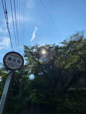 提供n2服務的專家林士弘