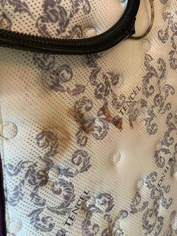 佳美潔 - 床墊清洗前 佳美潔 - 床墊清洗前