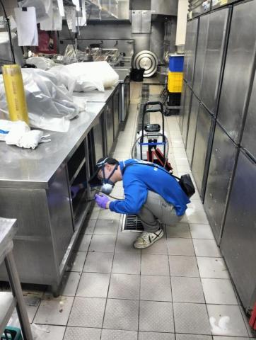 精隼病媒防治顧問有限公司 - 細部精細處理