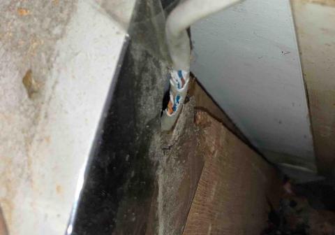 金容資訊系統整合 - 您有網路線被老鼠、毛小孩咬壞掉的困擾嗎?歡迎您的來訊~ 金容資訊系統整合 - 您有網路線被老鼠、毛小孩咬壞掉的困擾嗎?歡迎您的來訊~