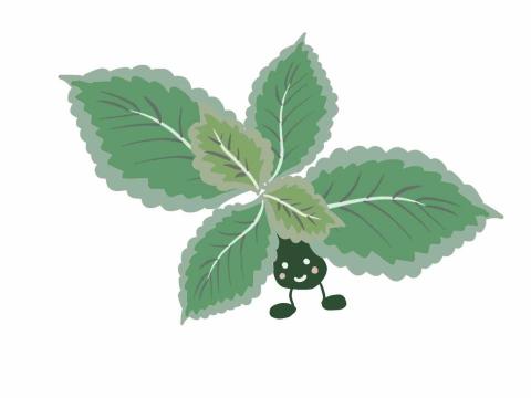 Uart藝術工作室 - 柚子老師電繪商品人物設計-左手香 Uart藝術工作室 - 柚子老師電繪商品人物設計-左手香