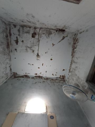 余先生 - 浴室天花板除酶前 余先生 - 浴室天花板除酶前