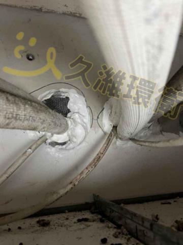 久濰環衛有限公司 - 老鼠孔洞封堵