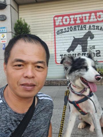 郭晉 - 哈士奇寄養