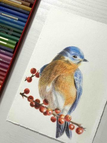 鍾佳恩 - 色鉛筆