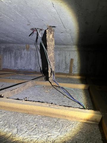 久濰環衛有限公司 - 白蟻防治-木材角料侵蝕