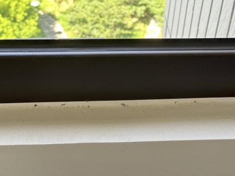 你為什麼不問問神奇海螺呢 - 新竹市，社區：金雅昕觀邸，施工前