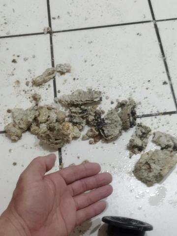 詹宗元 - 管路不能只是疏通,必須將結晶體清除。 詹宗元 - 管路不能只是疏通,必須將結晶體清除。