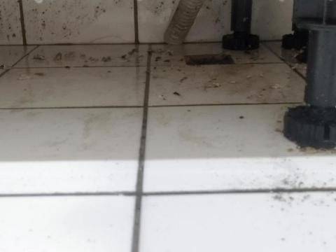 詹宗元 - 流理台疏通作業 詹宗元 - 流理台疏通作業