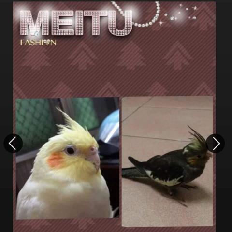 薇兒 - 左邊財財，右邊多多