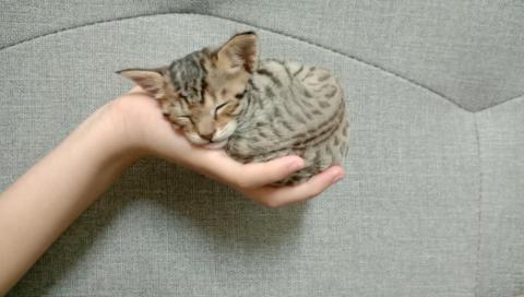 薇兒 - 她叫樂樂，是我的寶貝~~~