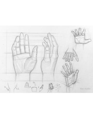 Han studio  邱柏翰 - 手掌結構講解，認識比例與結構如何配合，以及該怎麼簡化、理解並畫出來，想深入理解人體部位結構，怎麼畫的朋友歡迎詢問課程
