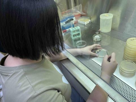 郭喬禎 - 屏東大學畫菌/種菌實操